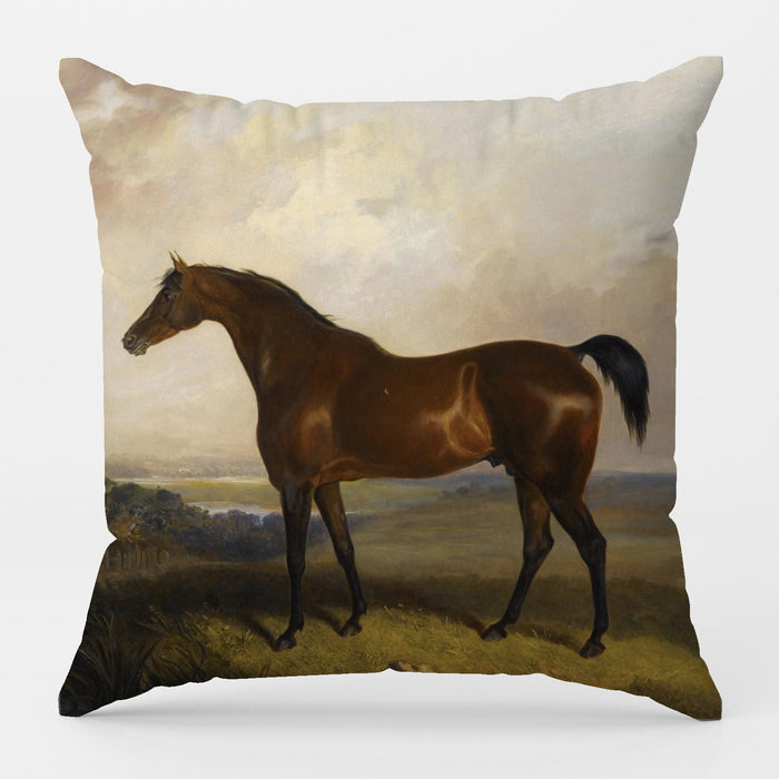 Maison Dreams Art Cushion - Animals 3